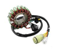 Szwaldaper Ignition Stator 8000A6773 Motorcycle Magneto Stator Coil for TE250 TE310 TE450 TE510 TC250 TC450 TC510 SMR250 2008-2010 Ignition Stator Magneto Plate Motorcycle Stator Plate