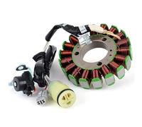 Szwaldaper Ignition Stator Magneto Stator Coil for 18P-81410-00 for YFZ450 YFZ450X YFZ450R Special Edition Motorcycle Assembly Kit Ignition Stator Magneto Plate Motorcycle Stator Plate