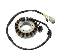 Szwaldaper Ignition Stator Motorcycle Generator Magneto Stator Coil, for Aprilia, ETV 1200 for Caponord 2014-2017 for Rally 2015-2017 Ignition Stator Magneto Plate Motorcycle Stator Plate