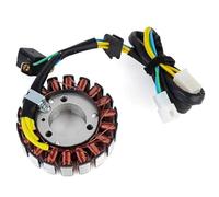 Szwaldaper Ignition Stator Motorcycle Generator Stator Coil, for Hyosung, for GT250 GT250R GTR250 2010 2011 2012 2013 2014 2015-2018 Ignition Stator Magneto Plate Motorcycle Stator Plate