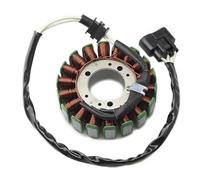 Szwaldaper Ignition Stator Motorcycle Magneto Stator Coil 5PW-81410-00-00 Engine Generator Coils for YZF-R1 R1 2002 2003 Ignition Stator Magneto Plate Motorcycle Stator Plate