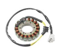 Szwaldaper Ignition Stator Motorcycle Magneto Stator Coil for CBR900 CBR929RR 2000 2001 31120-MCJ-003 Generator Alternator Engine Coil Ignition Stator Magneto Plate Motorcycle Stator Plate