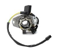 Szwaldaper Ignition Stator Motorcycle Magneto Stator Coil for CR250 CR250R 2002-2007 31100-KZ3-J41 31100-KZ3-L31 31100-KSK-670 Ignition Stator Magneto Plate Motorcycle Stator Plate