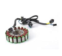 Szwaldaper Ignition Stator Stator Coil for AN250 AN400 AN400Z for Burgman 400 250 2003-2006 32101-15G10 32101-14G00 Ignition Stator Magneto Plate Motorcycle Stator Plate