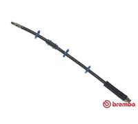 BRAKE HOSE T 61 009 BREMBO