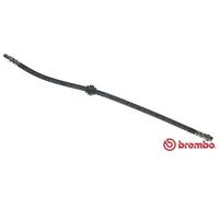 BRAKE HOSE T 61 036 FOR CITROËN ZX/Break BERLINGO/FIRST/Box/Body/MPV XSARA/Van