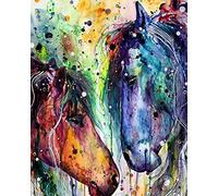 T-ART Paint by Numbers for Adults Children DIY Acrylic Colour Painting by Numbers Kits 16x20 inch Canvas (Two Horses)