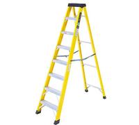 T. B. Davies Summit 10 Tread Trade GRP Swingback Step