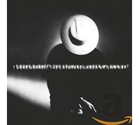 T Bone Burnett - Criminal Under My Own Hat