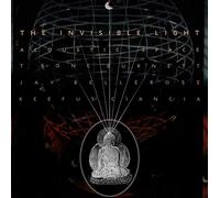 T Bone Burnett/Jay B - Invisible Light - Vinyl Record 12 Album - C600z