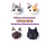T.F GHG DIY Wool Needle Felting Kit with Basic Needle Felting Tools,Video Tutorial,Easy for Beginners, Felted Cat Kitten Brooch,Felted Animal (4 in 1 A Set)