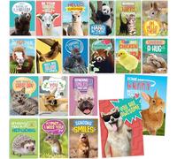 T MARIE 40 Funny Animal Postcards - Bulk Thinking of You Postcard Pack for Kids, Students, Friends, Teacher and More - Say Hello, Thank You or I Miss You with Cute Note Cards
