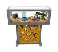 T- Mini Natural Sand Ant Kit 15x5x16 - Free Ants Included20-30 Ants