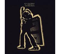 Electric Warrior
