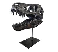 T-Rex Skull XXL on Metal Stand - Replica - Tyrannosaurus Rex - Dinosaur - Fossil - Luxury Decoration - 30x25cm
