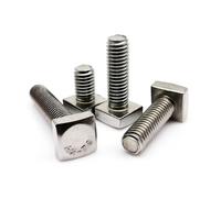 T-shaped bolt, 2 pcs. M6 M8 dia. 6 mm 8 A2 stainless steel square bolts(M6x22mm)