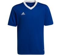 T-shirt adidas Entrada 22 Jsy Jr HG3948