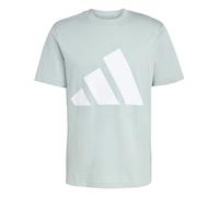 adidas Men's Essentials Big Logo Single Jersey TEE, Wonder Sage/White, L