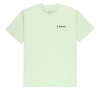 Element Orni Short Sleeve T-shirt Green L Men
