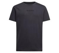 T-shirt La Sportiva Eighties Logo Gris M