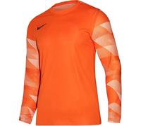 T-shirt Nike Dry Park IV JSY LS GK Jr CJ6072-819