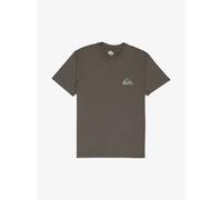 T-shirt Quiksilver EV Mini Logo Gris S