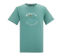Regatta Men's Cline IX Short Sleeved Graphic T-Shirt in Mint | Size: 4XL Regatta Mint 4XL