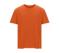 T Shirts Men Plus Size Summer Cotton Tee Shirts Short Sleeve Crewneck Tshirts Plain Colour Designer T-Shirts Casual Moisture Wicking Tees Classic Fit Smart Tops Comfort Daily Wear