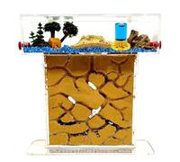 T- Small Natural Sand Ant Kit 20x7x22 - Free Ants Included20-30 Ants