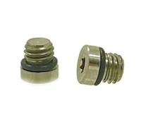 T10 Head Ti Alloy Bleed Screw for SRAM RSC ULT G2 LEVEL TL | Hydraulic Brake, Silver 6g Lightweight Rust Resistant Bolt with 2 Sealing Rings for Cycling