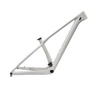 T1000 Carbon 29er MTB Frame Boost 12x148mm, Full Internal Routing Hardtail Mountain Bike Frame With UDH Hanger(Cool Gray,L 148 Matte)
