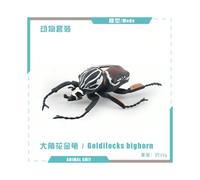 (T15712 Big Horned Flower Beetle 32g) Simulation solid bee spider butterfly rhinoceros beetle centipede insect animal model children's toy sand table ornaments