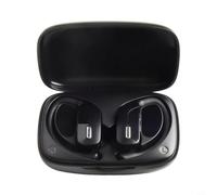 T17 True Wireless Earbuds with Hooks - Stable Connection Gym Headphones Clear Calls AAC Codec Black