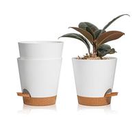 T4U 14 cm Plastic Flower Pot with Watering System, Set of 3 Self-Watering Planter with Saucer, Round Plant Pot for Indoor and Balcony Garden Plants Succulent Cactus White
