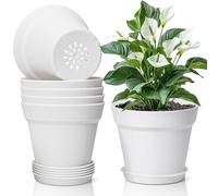 T4U 16cm White Plant Pots Indoor, Plastic Flower Pots with Saucer, 6 Pack | House Plant Pots with Drainage Hole, Lightweight Plastic Flower Pots for Peace Lily, Spider Plant on Kitchen windowsill