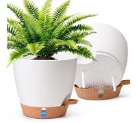 T4U 20cm Self Watering Plant Pots Indoor 2 Pack, Water Level Indicator & Deep Reservoir, Mess-Free Planters for Busy Homes and Beginners, Suitable for Pothos and Snake, Sheltered Outdoor Use(White)