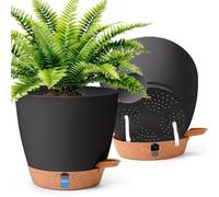 T4U 20cm Self Watering Plant Pots Indoor 2 Pack, Water Level Indicator & Deep Reservoir, Mess-Free Planters for Busy Homes and Beginners, Suitable for Pothos and Snake, Sheltered Outdoor Use(Black)