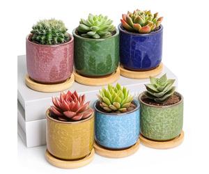 T4U 6cm Succulent Plant Pot Set of 6, Ceramic Cactus Plants Pot with Tray for Cactus, Ice Crack Serial Small Plant Pots for Garden Gifts, Mini Colourful Planter Decoration for Indoor Outdoor Plants