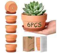 T4U Terracotta Plant Pots 11cm 6 Pack, Small Plant Pots for Beginners and Home Decor Lovers Growing Succulents on Windowsill or Desk, Clay Pots with Leakproof Plastic Saucer, Indoor Outdoor Use