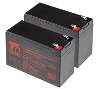 T6 Power Battery Set for Eaton Ellipse ECO 1200, VRLA, 12V