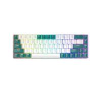 T8 68 Keys RGB Mini Gaming Mechanical Keyboard, Macro Programming 60% Wired Mechanical Gaming Keyboards For Computer Desktop Gamer (Aqua Edition Blue Switch)