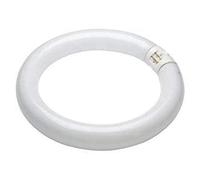 T9 Circular Flourescent Tube 40W - Colour Warm White- 830 - G1OQ Cap