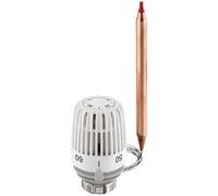 TA Heimeier 6602-00.500 Thermostatic Head Without Accessories 40-70 °C