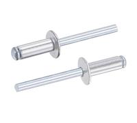 TA-VIGOR 25Pcs 6mm x 16mm Aluminium Blind Rivets, Open End Pop Rivets with Dome Head, Heavy Duty Pull Rivet for Metal Wood Plastic, Indoor Outdoor Fixings