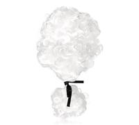 Tabanzhe Curly White Judge Wig for Men Women,Barrister Lawyer Wig,Colonial Rococo Costume Cosplay Wigs,Synthetic Adult Judge Costume Accessory for Halloween Fancy Dress Party
