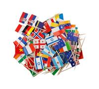 Tabanzhe Different Nations Toothpick Flag-100PCS Country Cocktail Stick Flag Food Flags for Party Decoration Fruit Stick Cupcakes Topper