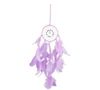 Tabanzhe Dream Catcher,Handmade Fairy Dreamcatcher Feather Pendant and Beads Wall Hanging Decorations Indian Style Ornament for Living Room Bedroom Dormitory (Purple)