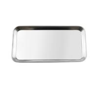 Tabanzhe Stainless Steel Tray Dental Lab Tools Instruments Supplies Rectangular Tray For Lab, Bathroom Organiser, Tattoo Tool Tray