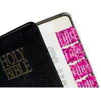 Tabbies Pink Camo Bible Indexing Tabs, Old & New Testaments, 90 Tabs Including 66 Books, 11 Reference, 6 Personal, 7 Write-on Tabs (58412)