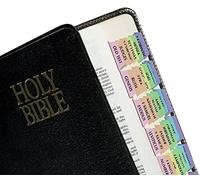 Tabbies Rainbow Bible Indexing Tabs, Old & New Testaments, 80 Tabs Including 64 Books & 16 Reference Tabs, Multi-Colored (58346), Rainbow Colored